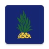 9.1短视全免费正式版